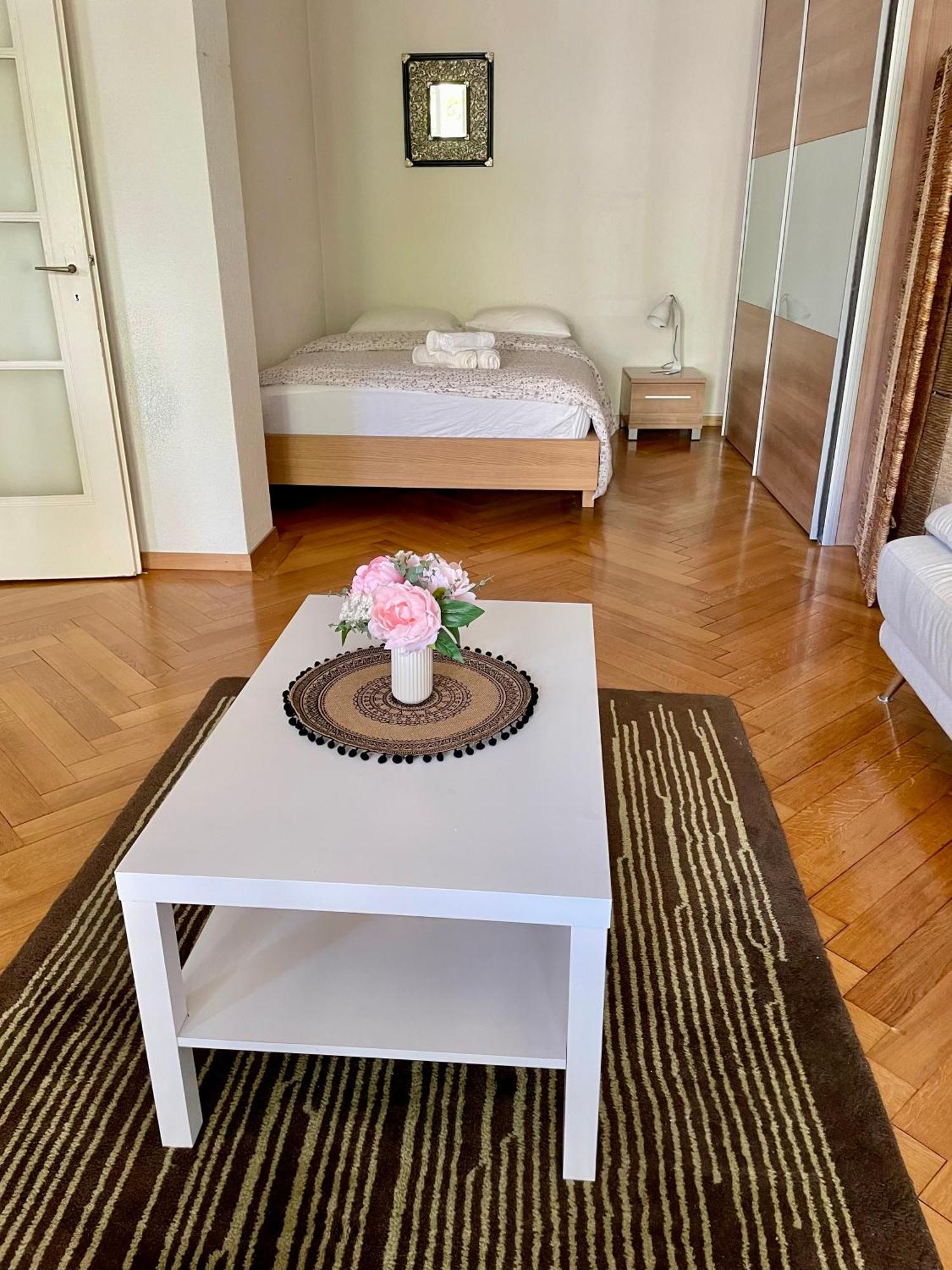 Apartment 9 Minutes From Train Statio Lausanne
